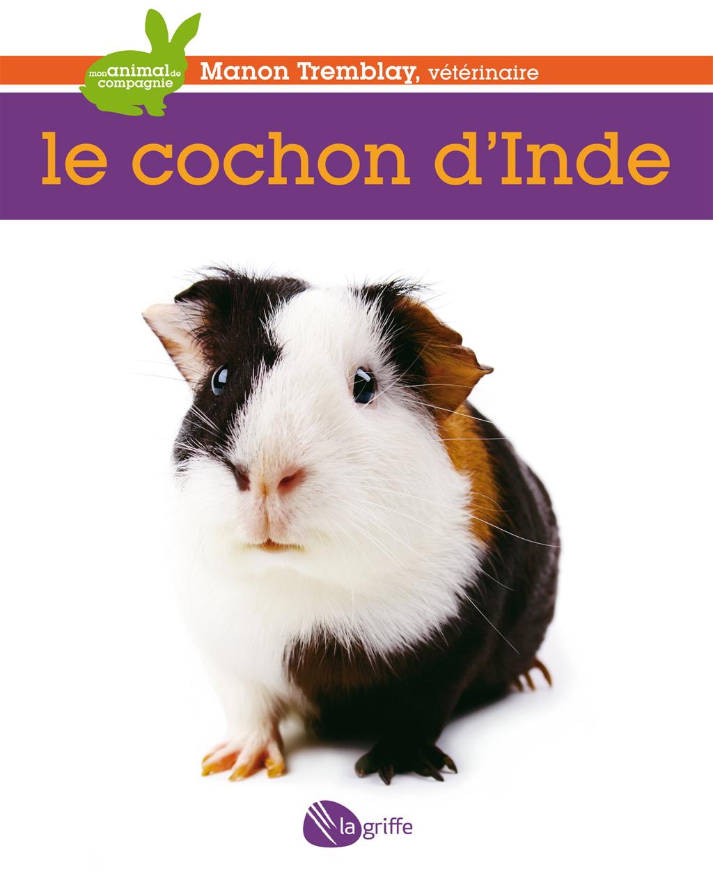 Le Cochon d'Inde de Dre. Manon Tremblay, Becs & Museaux Val-d'Or